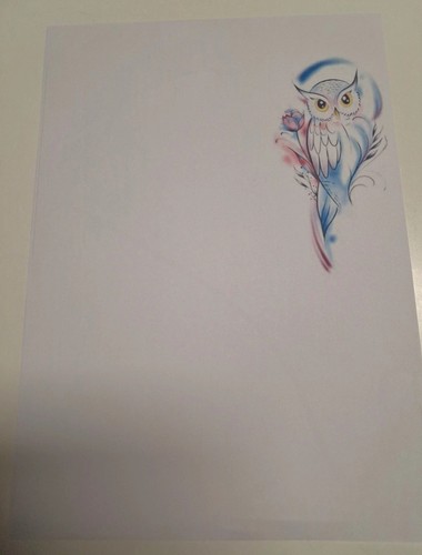 Briefpapier eule 20x din a4 - eule,