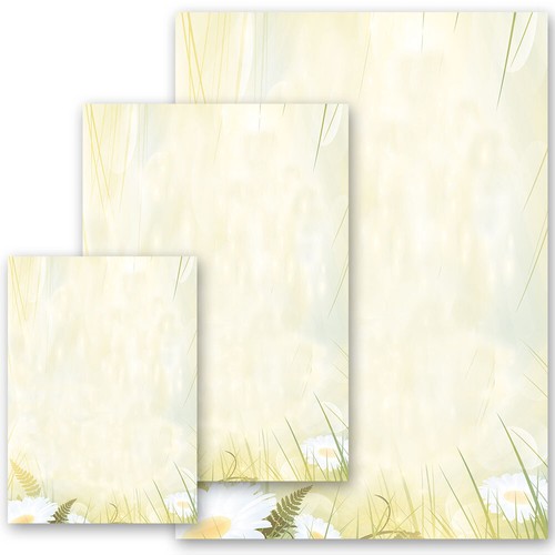 Motiv briefpapier margeriten - motiv-briefpapier,