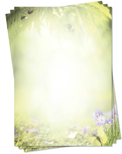 Blatt motivpapier 5127 - 25,