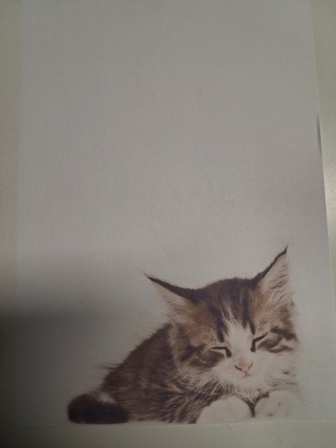Briefpapier katze 20 blatt - ,