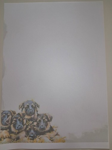 Briefpapier hunde blatt - hunde,